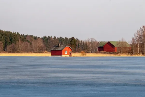 Sauna parowa na włosy: domowa sauna do włosów